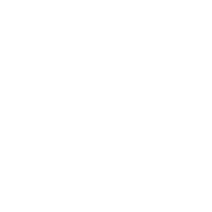 Partner 02
